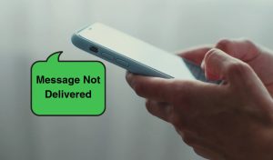 What Does It Mean When a WhatsApp Message Is Not Delivered