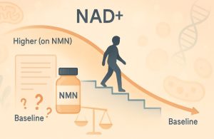 How Long Does It Take for NAD+ Levels to Return to Normal