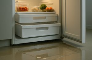 What Should You Do If Water Is Collecting Inside the Fridge